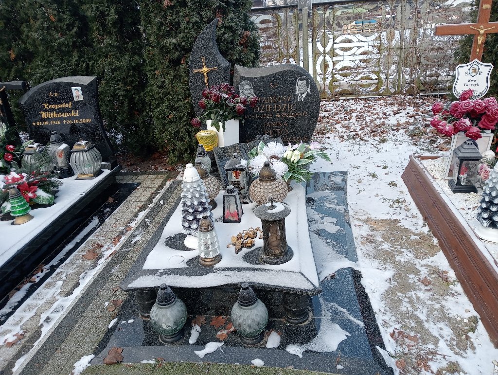 Grób Tadeusz Dziedzic