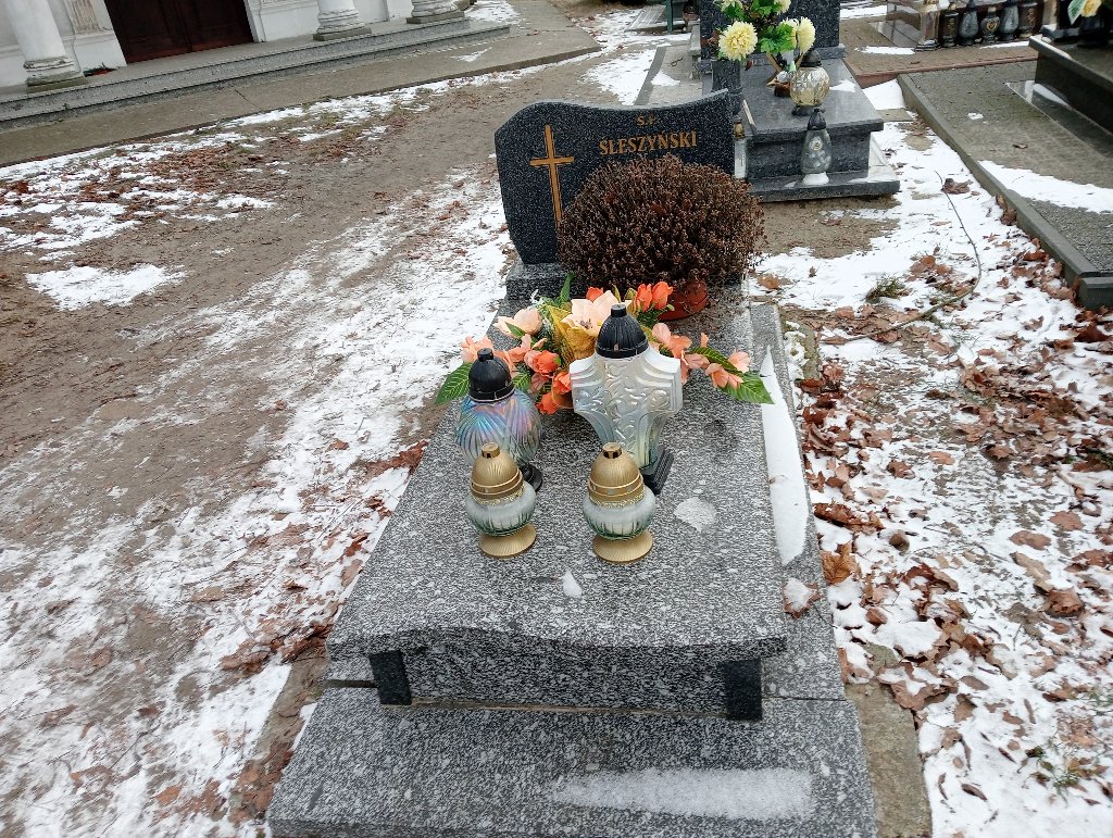 Grób Maria Śleszyńska