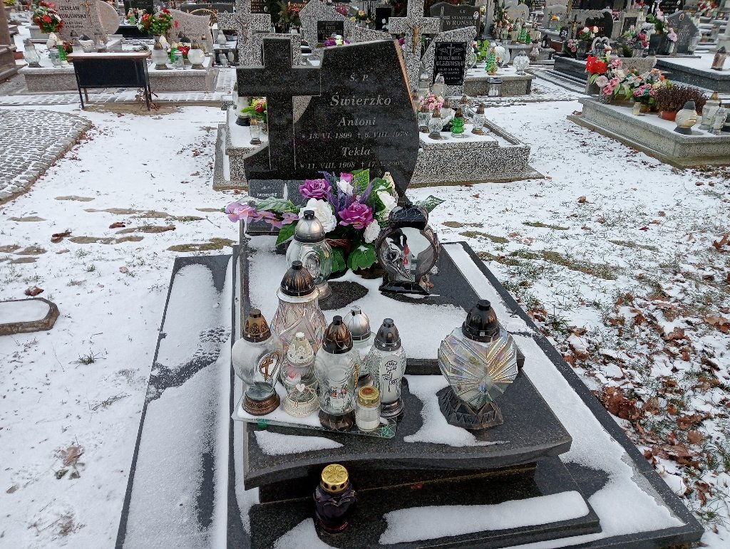 Grób Tadeusz Świerzko
